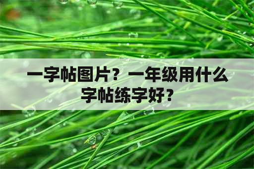 一字帖图片？一年级用什么字帖练字好？