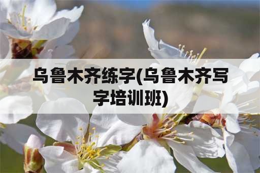 乌鲁木齐练字(乌鲁木齐写字培训班)