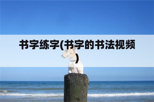 书字练字(书字的书法视频)