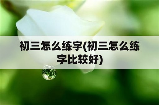 初三怎么练字(初三怎么练字比较好)