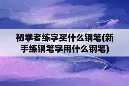 初学者练字买什么钢笔(新手练钢笔字用什么钢笔)