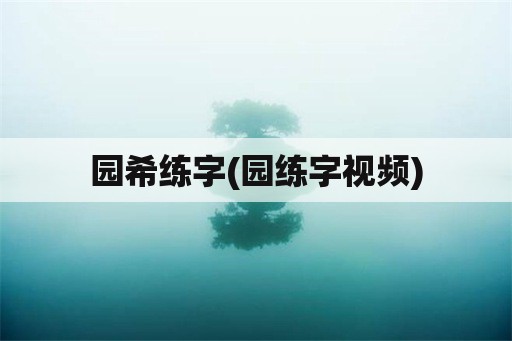 园希练字(园练字视频)