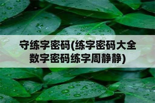 守练字密码(练字密码大全数字密码练字周静静)