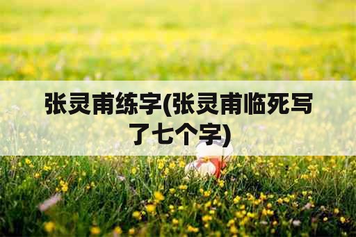 张灵甫练字(张灵甫临死写了七个字)