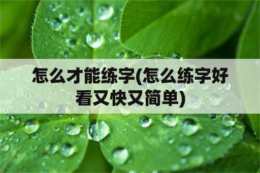 怎么才能练字(怎么练字好看又快又简单)