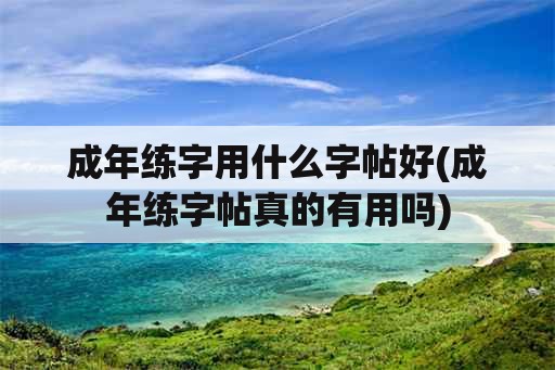 成年练字用什么字帖好(成年练字帖真的有用吗)