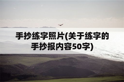 手抄练字照片(关于练字的手抄报内容50字)