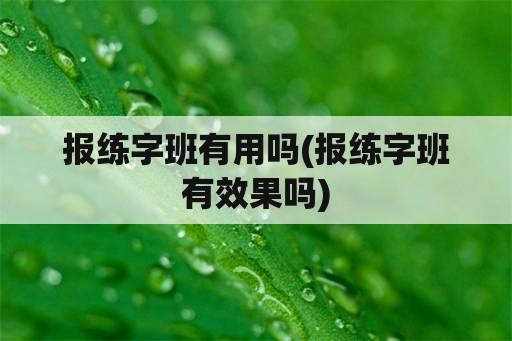 报练字班有用吗(报练字班有效果吗)