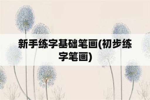 新手练字基础笔画(初步练字笔画)