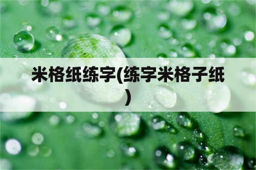 米格纸练字(练字米格子纸)