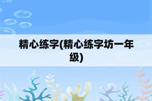 精心练字(精心练字坊一年级)