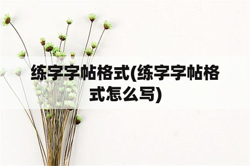 练字字帖格式(练字字帖格式怎么写)