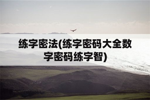 练字密法(练字密码大全数字密码练字智)