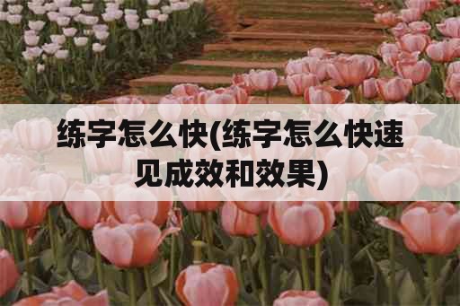 练字怎么快(练字怎么快速见成效和效果)