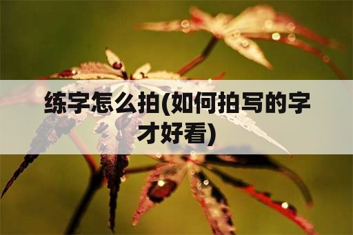 练字怎么拍(如何拍写的字才好看)