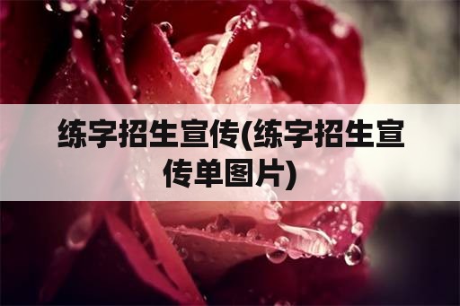 练字招生宣传(练字招生宣传单图片)