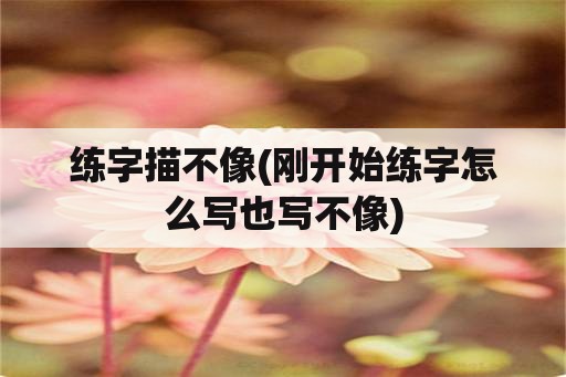 练字描不像(刚开始练字怎么写也写不像)