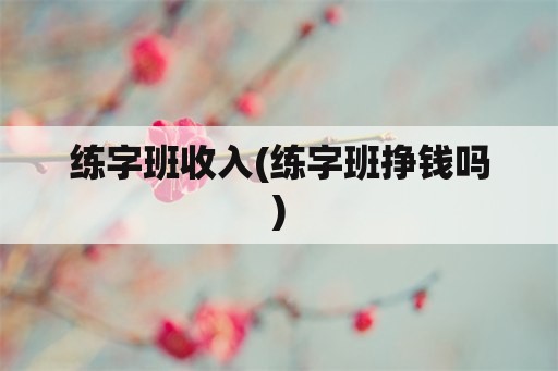 练字班收入(练字班挣钱吗)