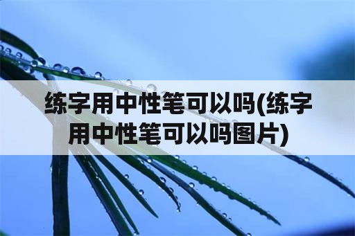 练字用中性笔可以吗(练字用中性笔可以吗图片)