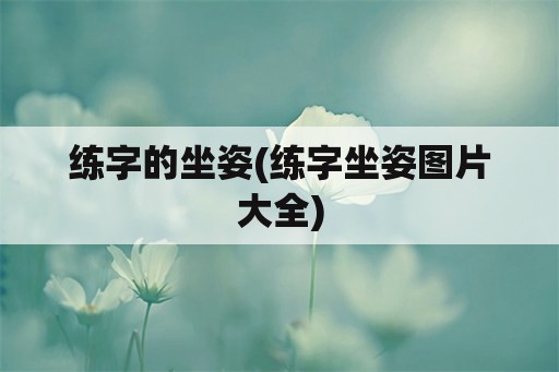 练字的坐姿(练字坐姿图片大全)