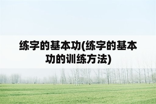 练字的基本功(练字的基本功的训练方法)