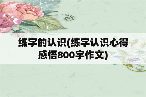 练字的认识(练字认识心得感悟800字作文)