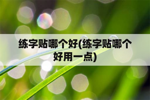 练字贴哪个好(练字贴哪个好用一点)