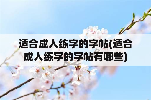 适合成人练字的字帖(适合成人练字的字帖有哪些)