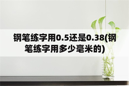 钢笔练字用0.5还是0.38(钢笔练字用多少毫米的)