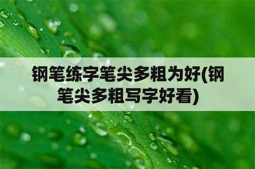 钢笔练字笔尖多粗为好(钢笔尖多粗写字好看)