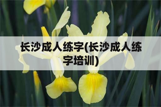 长沙成人练字(长沙成人练字培训)