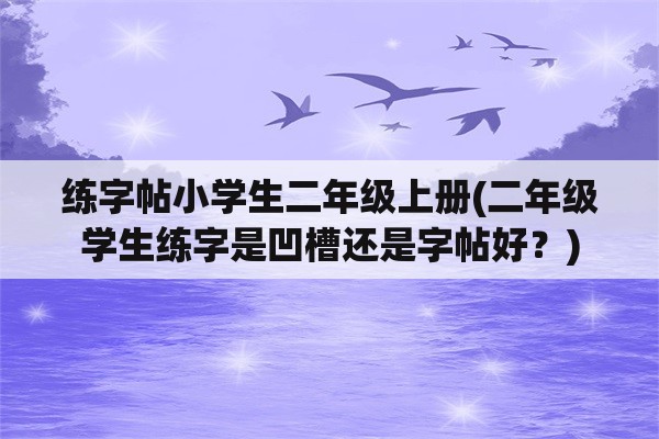 练字帖小学生二年级上册(二年级学生练字是凹槽还是字帖好？)