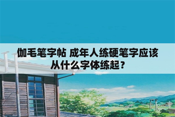 伽毛笔字帖 成年人练硬笔字应该从什么字体练起？